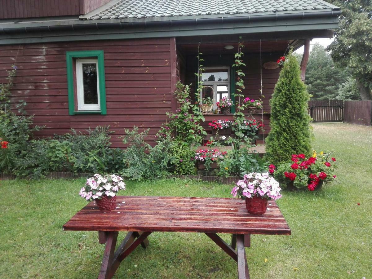 Dom Na Skraju Puszczy Bialowieskiej Narewka Exterior foto